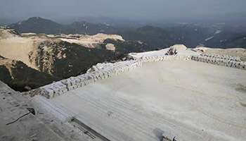 黃金麻9.jpg 黃金麻9.jpg