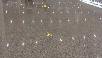 黃金麻10.jpg 黃金麻10.jpg