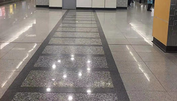 黃金麻11.jpg 黃金麻11.jpg