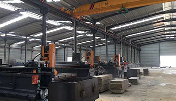 黃金麻15.jpg 黃金麻15.jpg