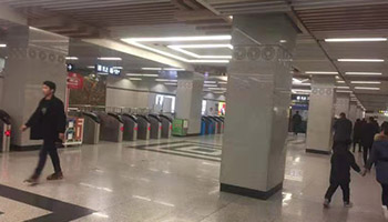 隨州白麻2.jpg 隨州白麻2.jpg