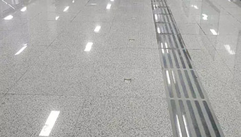 隨州白麻5.jpg 隨州白麻5.jpg