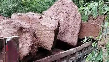 紫檀木紋5.jpg 紫檀木紋5.jpg