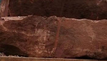 紫檀木紋7.jpg 紫檀木紋7.jpg